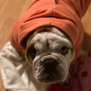 Meet your Posher, Leigh